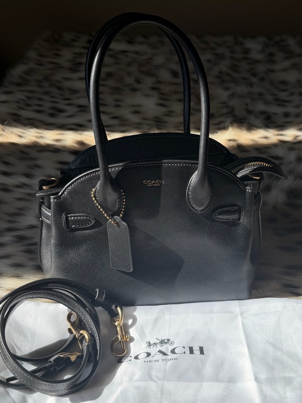 Coach Empire 21